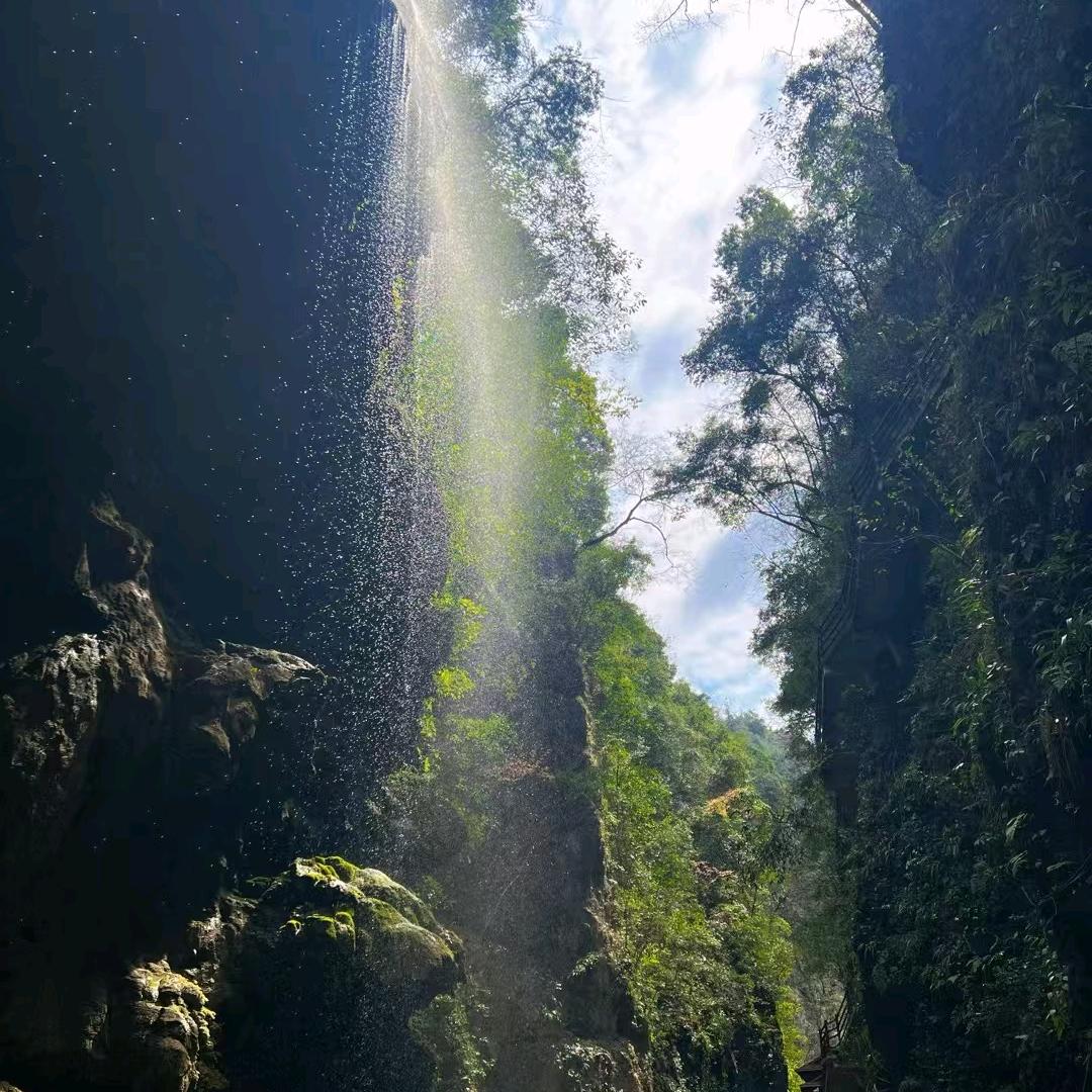 挽星