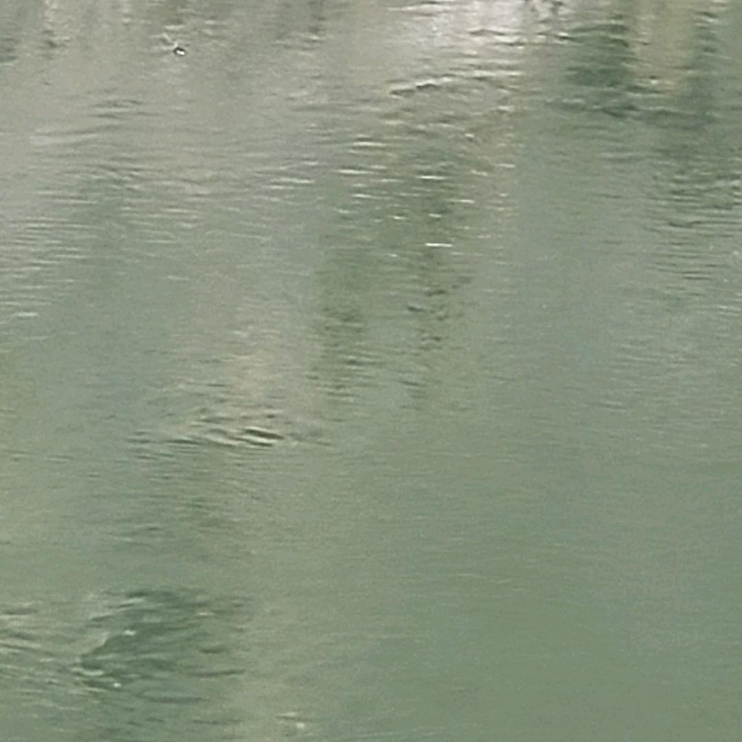 林