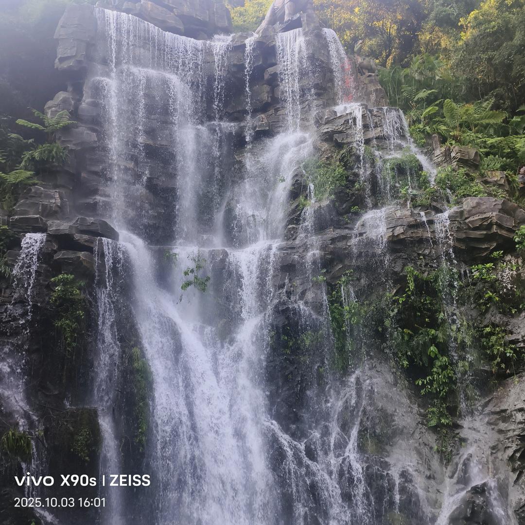 信息输入中……