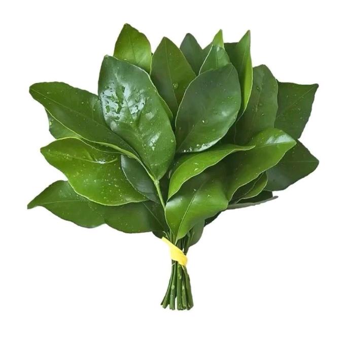 开心小猫