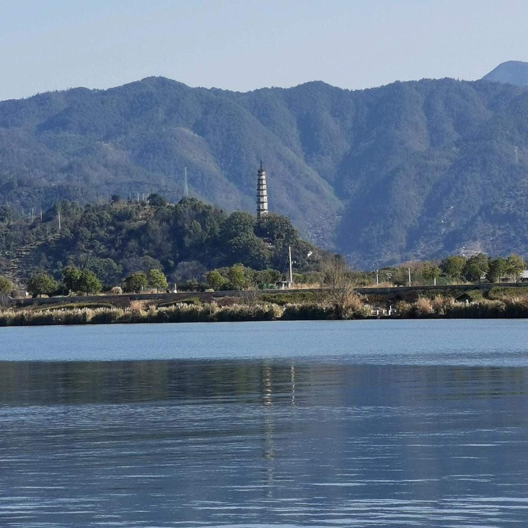 样样通样样松