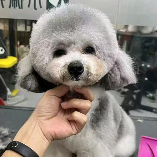 六六顺