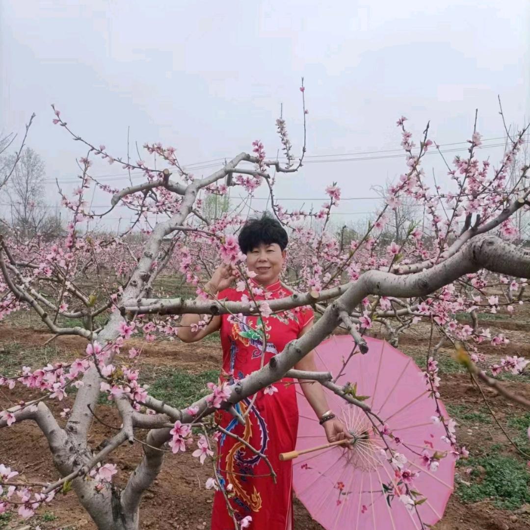 想艳