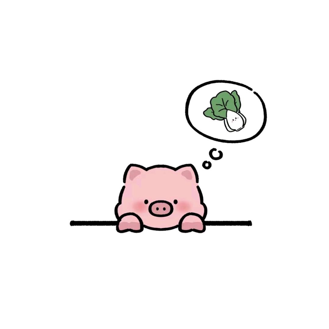 辣白菜DIY配件