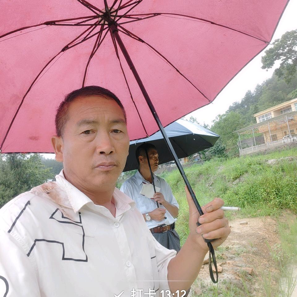 思雨专业合作社，（百部种植）
