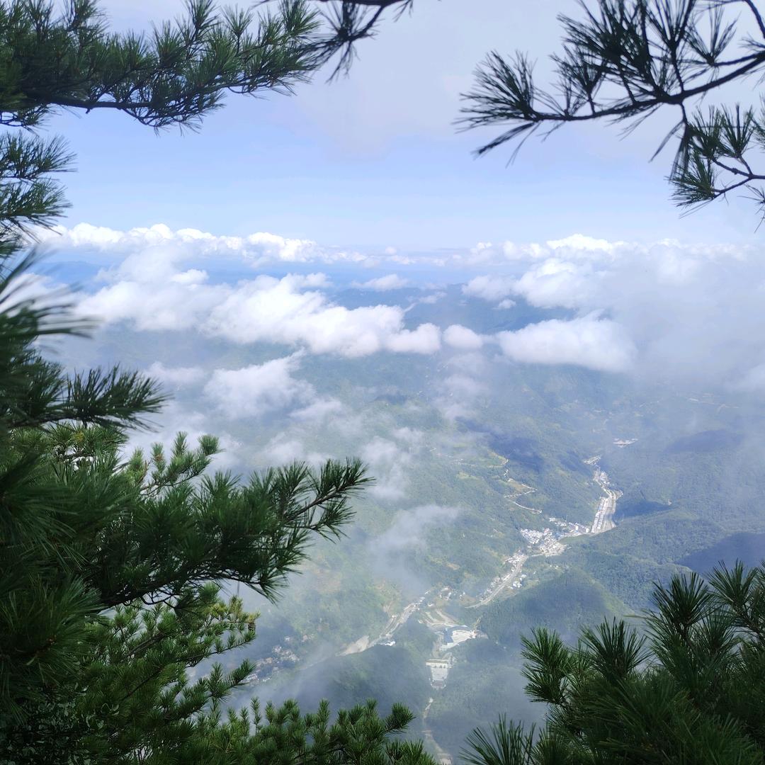 秦岭魏巍