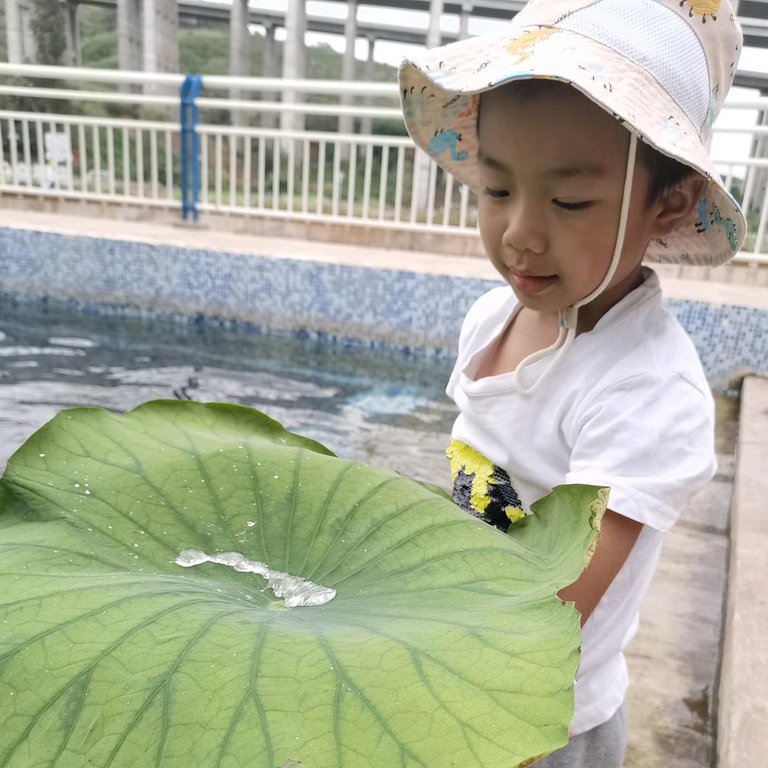 李欣颖