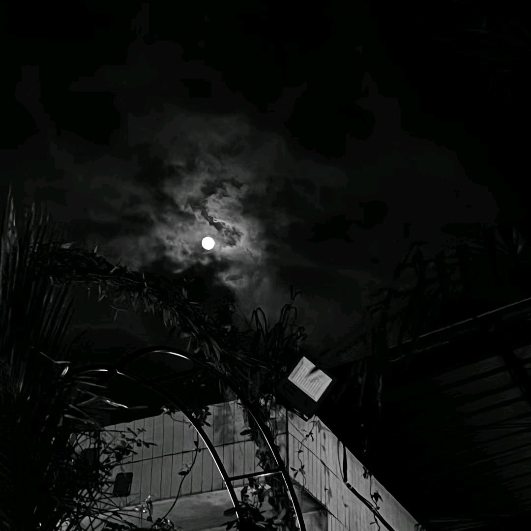 .x