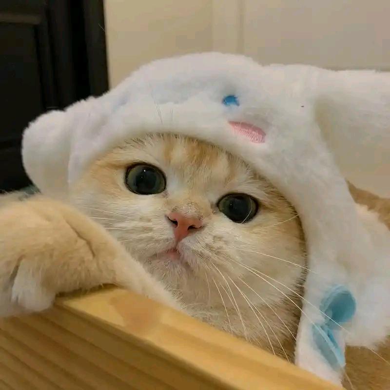 摩登 第三方业务