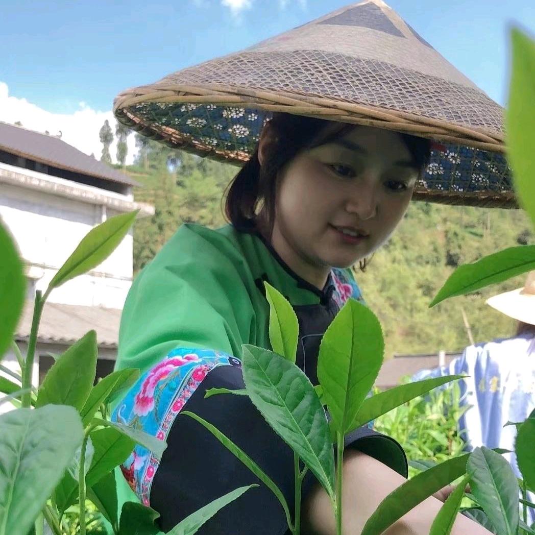 十八洞黄金巴傩山茶业