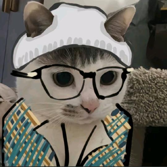 Liᴗᴗi_ᥫᩣ