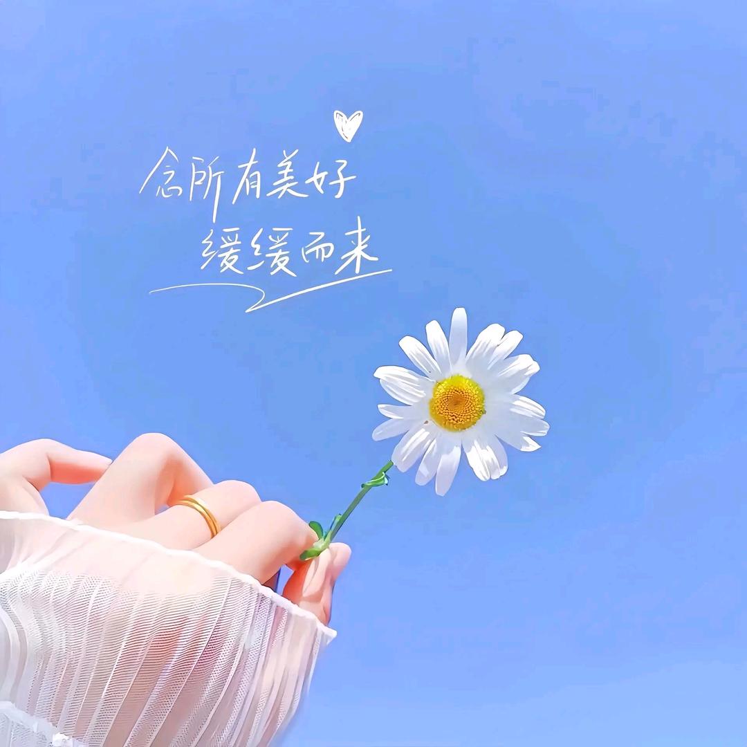 悟空梦梦