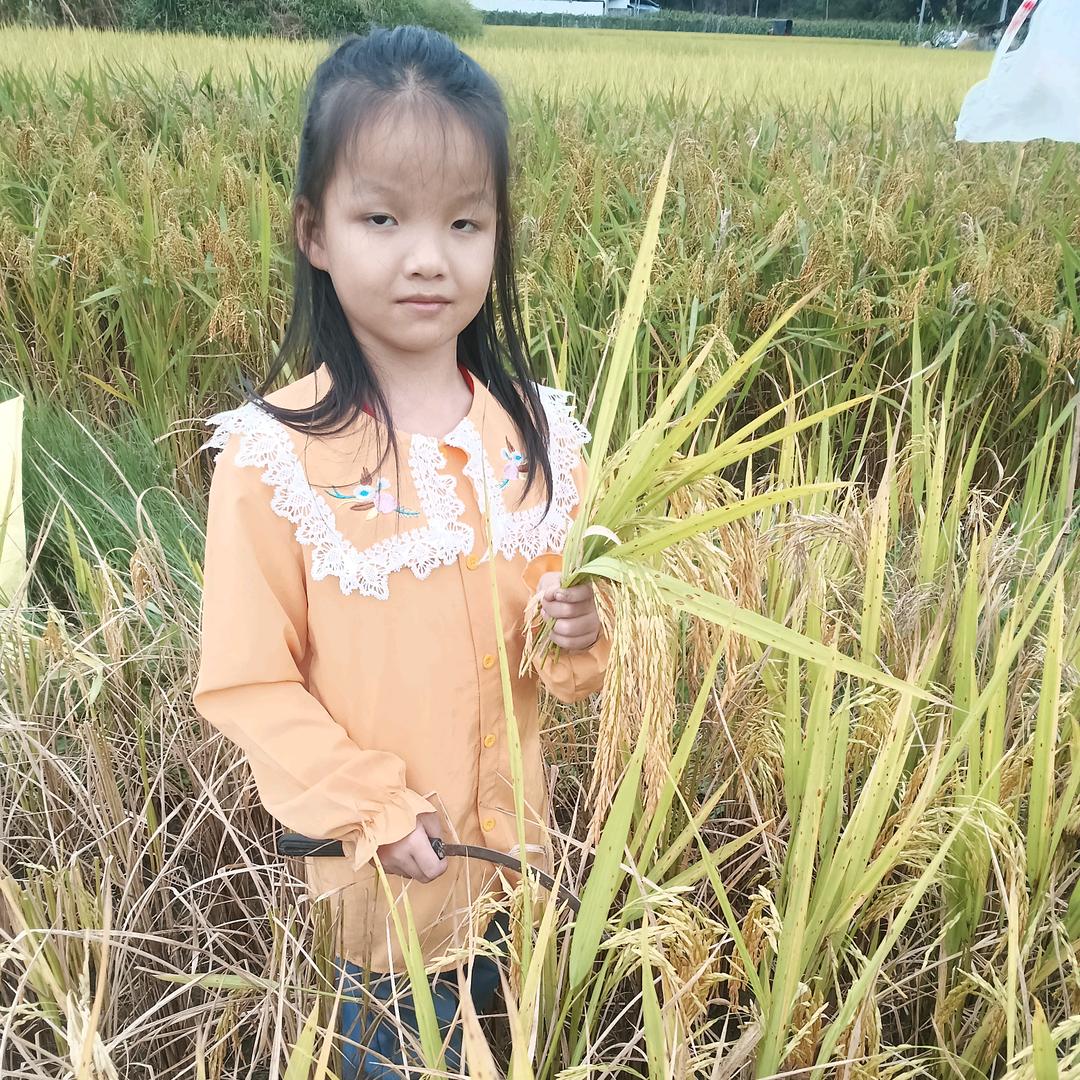 梁姐寻亲人梁志长