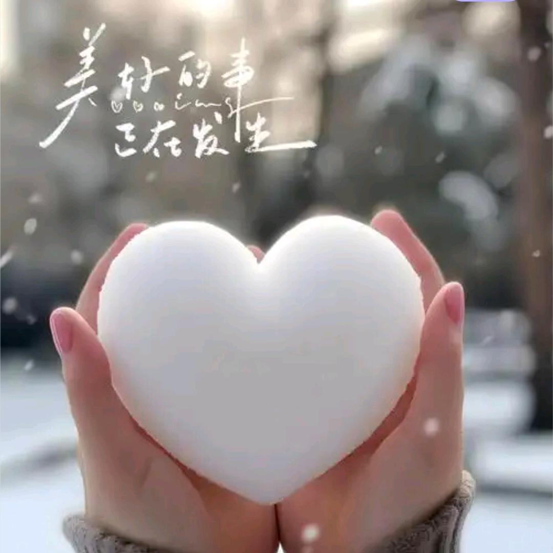 树洞陪伴