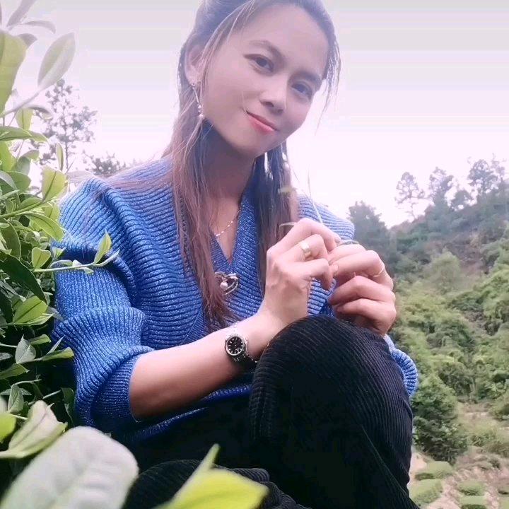 山茶妹！