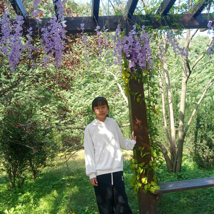 牡丹花🌸