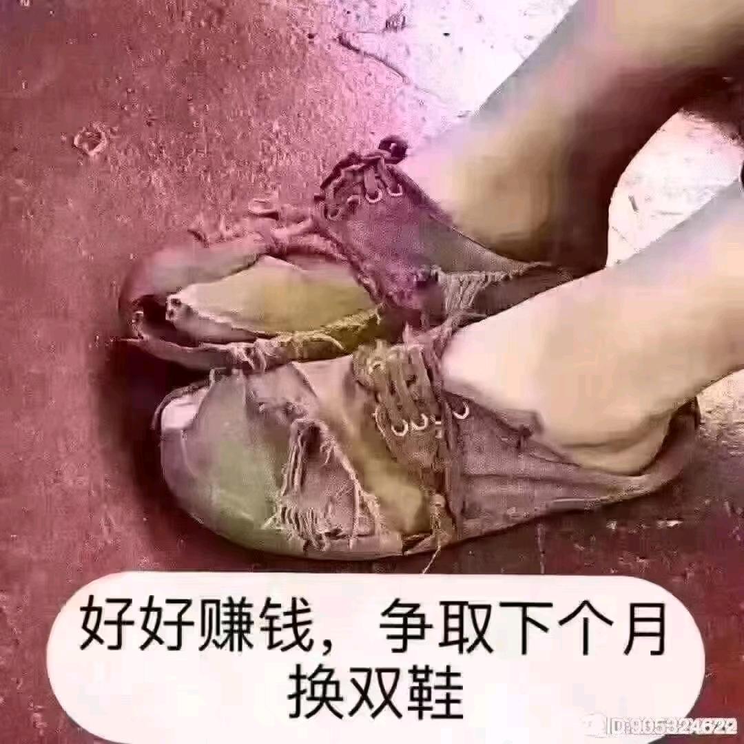 矮冬瓜