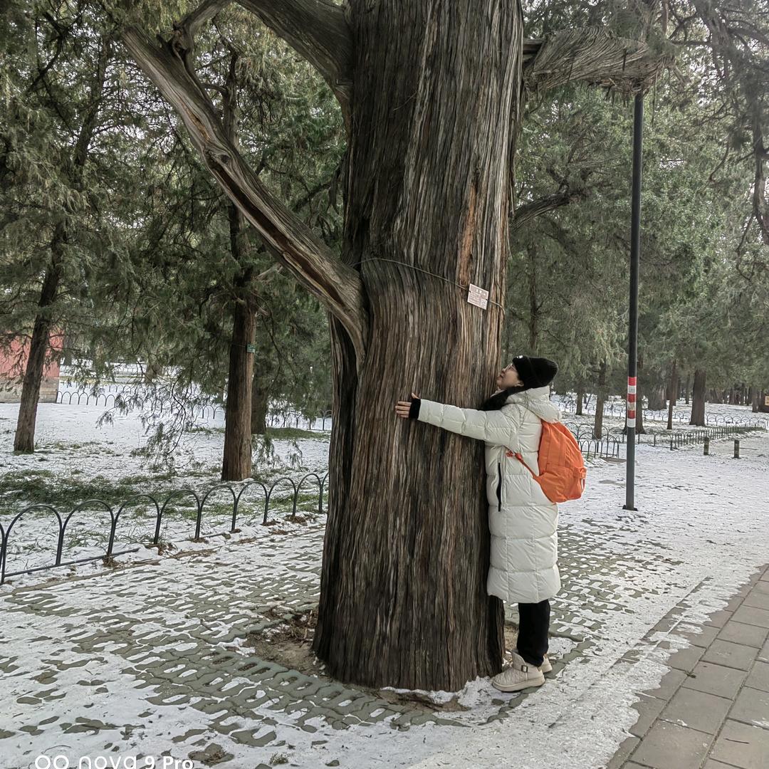 温暖阳光（淄博土著）