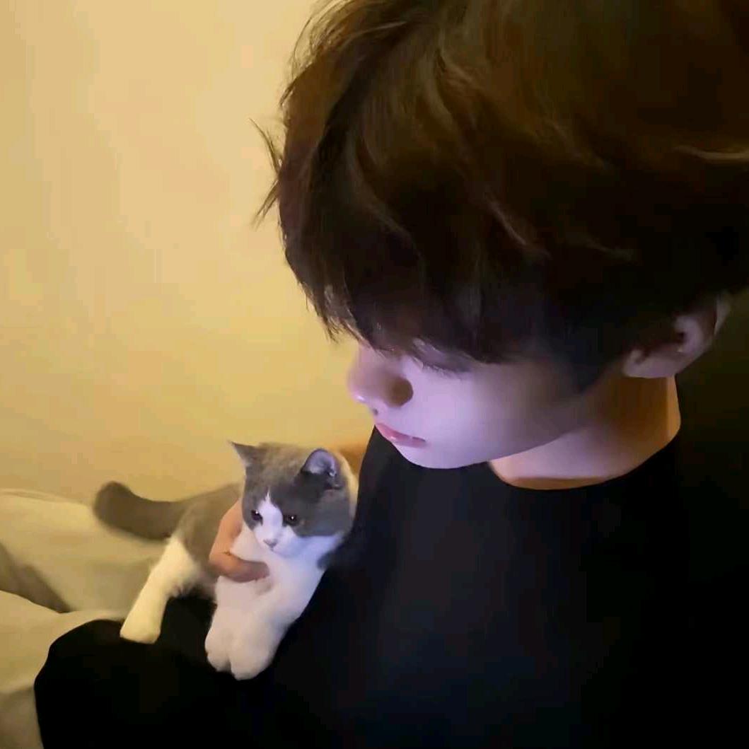 银杏叶&