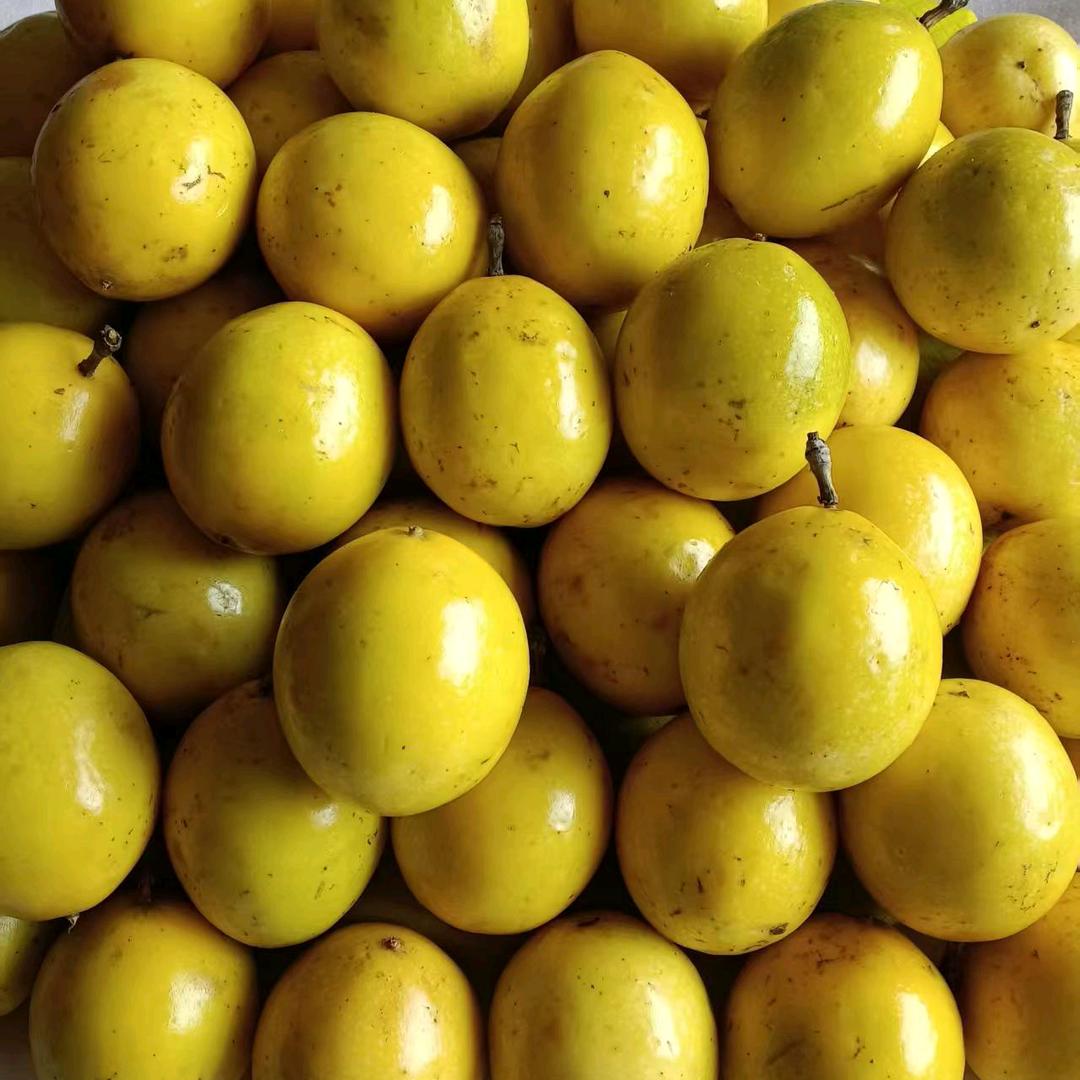 百香果，果园🌞🌞