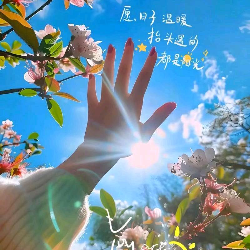 晴天姑娘