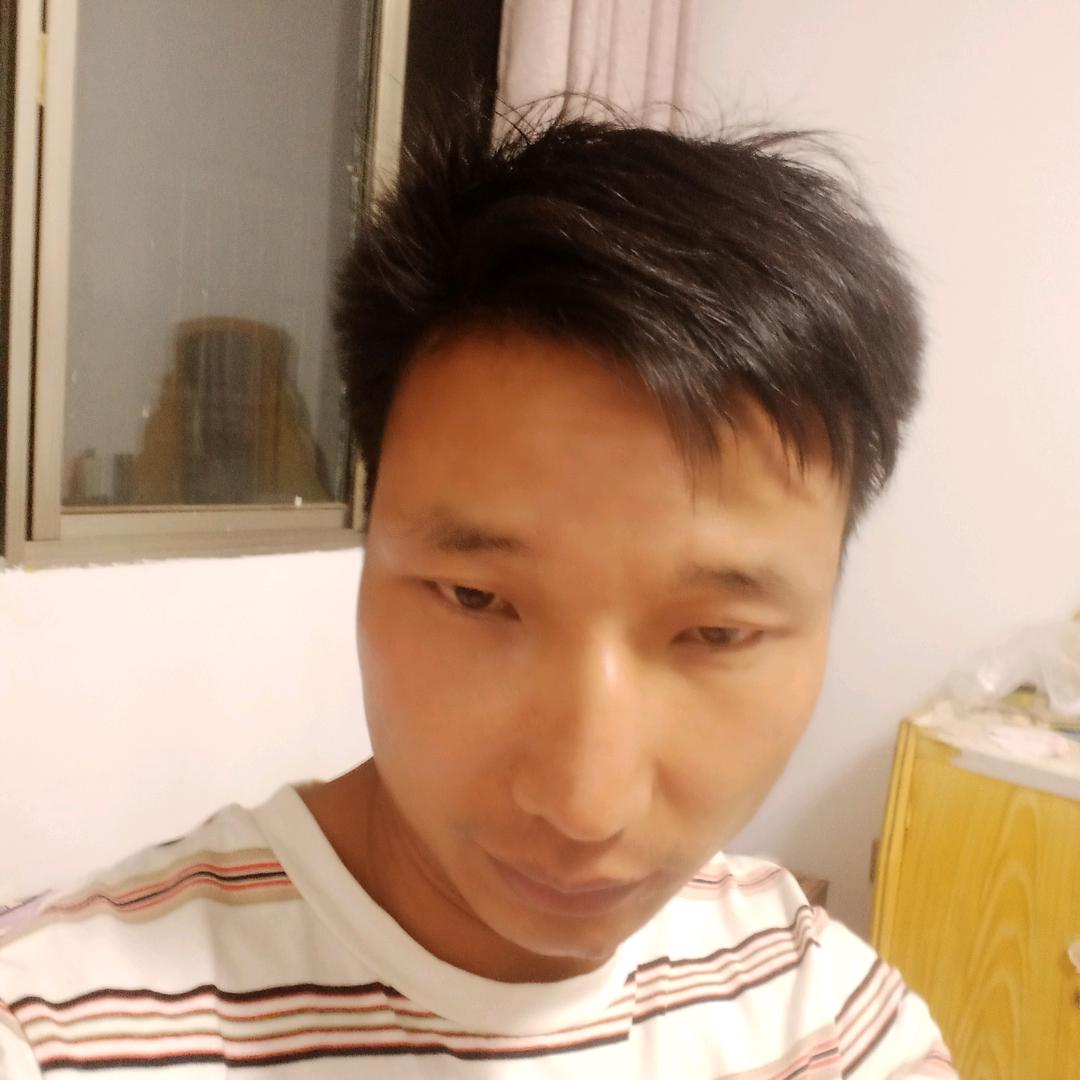 朱哥