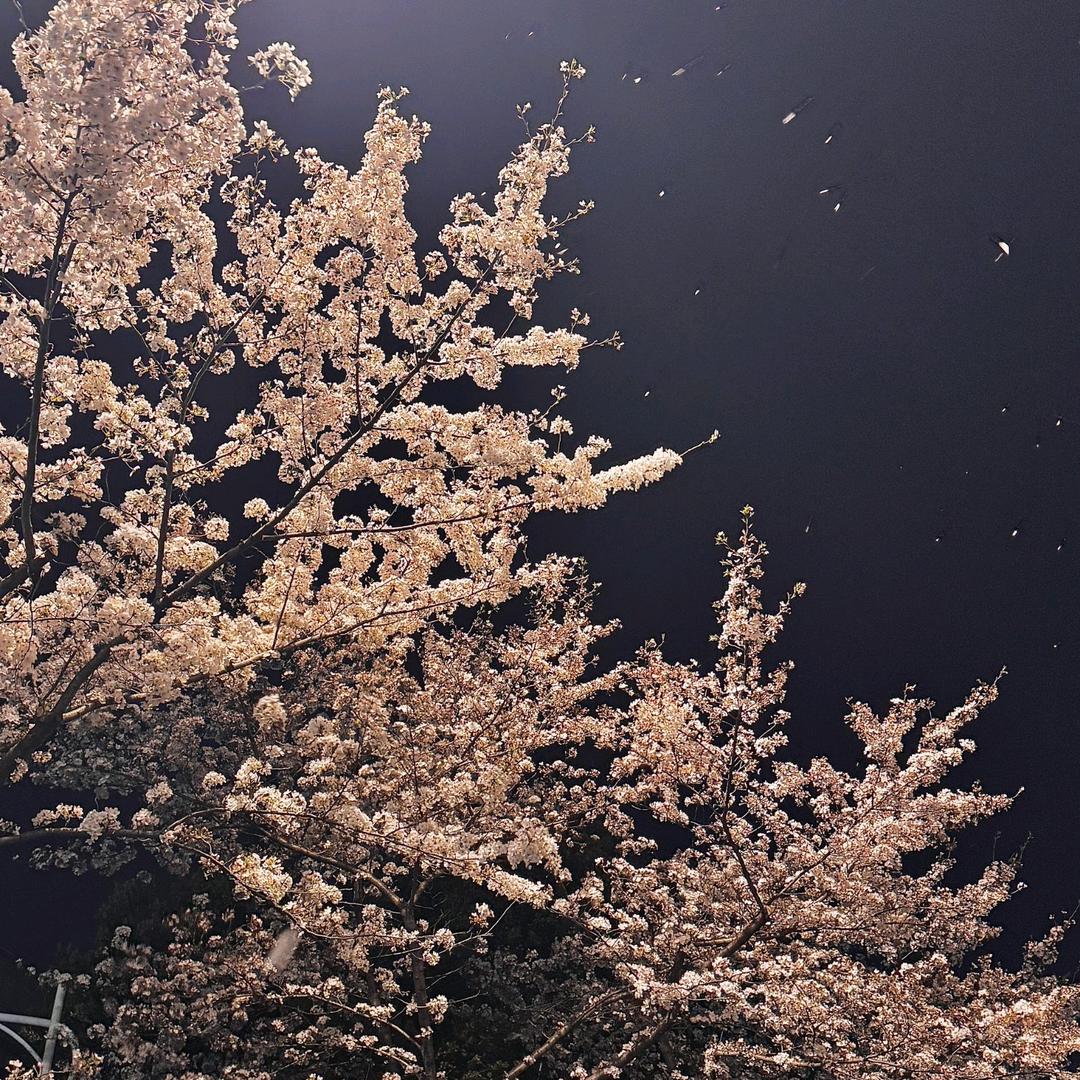 三生