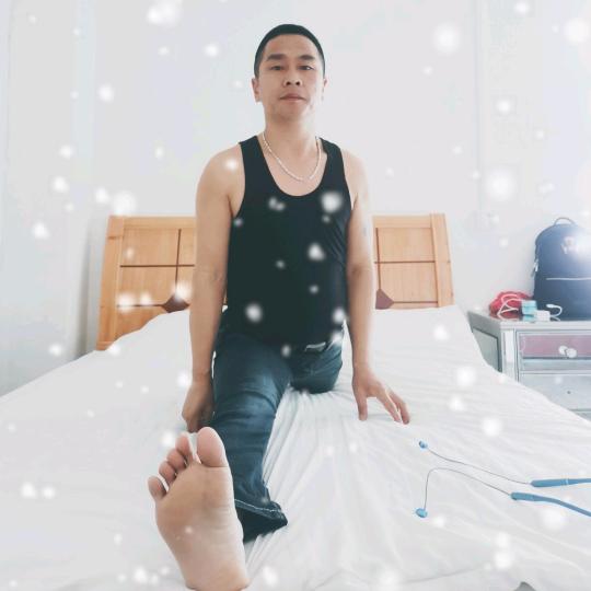 虎歌