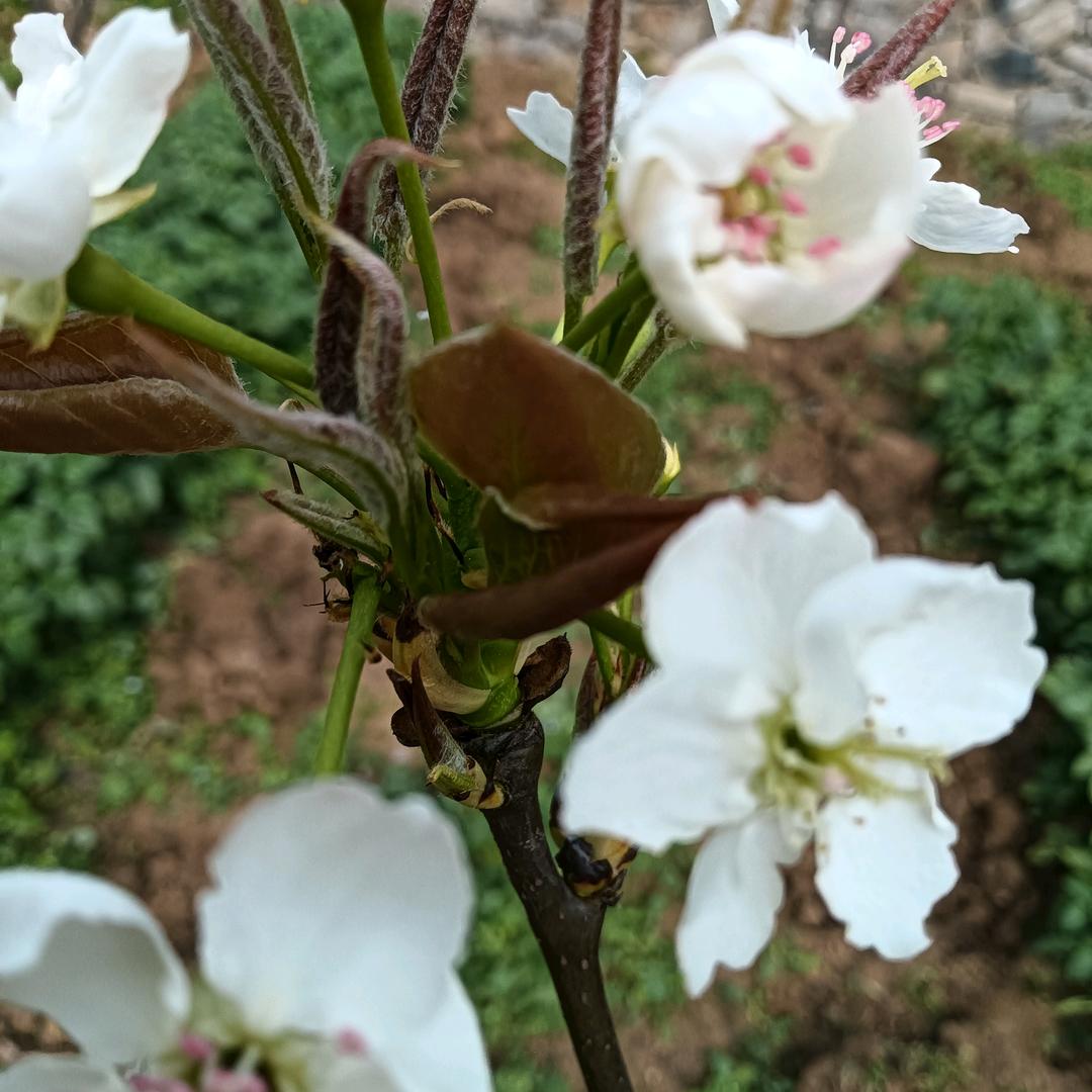 信心就是力量