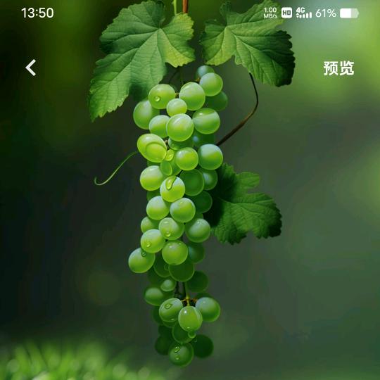 “初吻”《给了香烟》