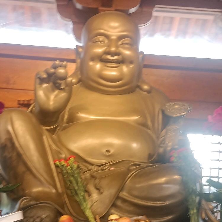 缘来如迟