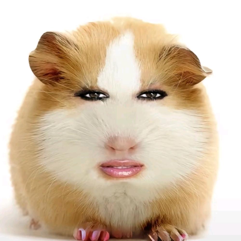 (ㅎ‸ㅎ)