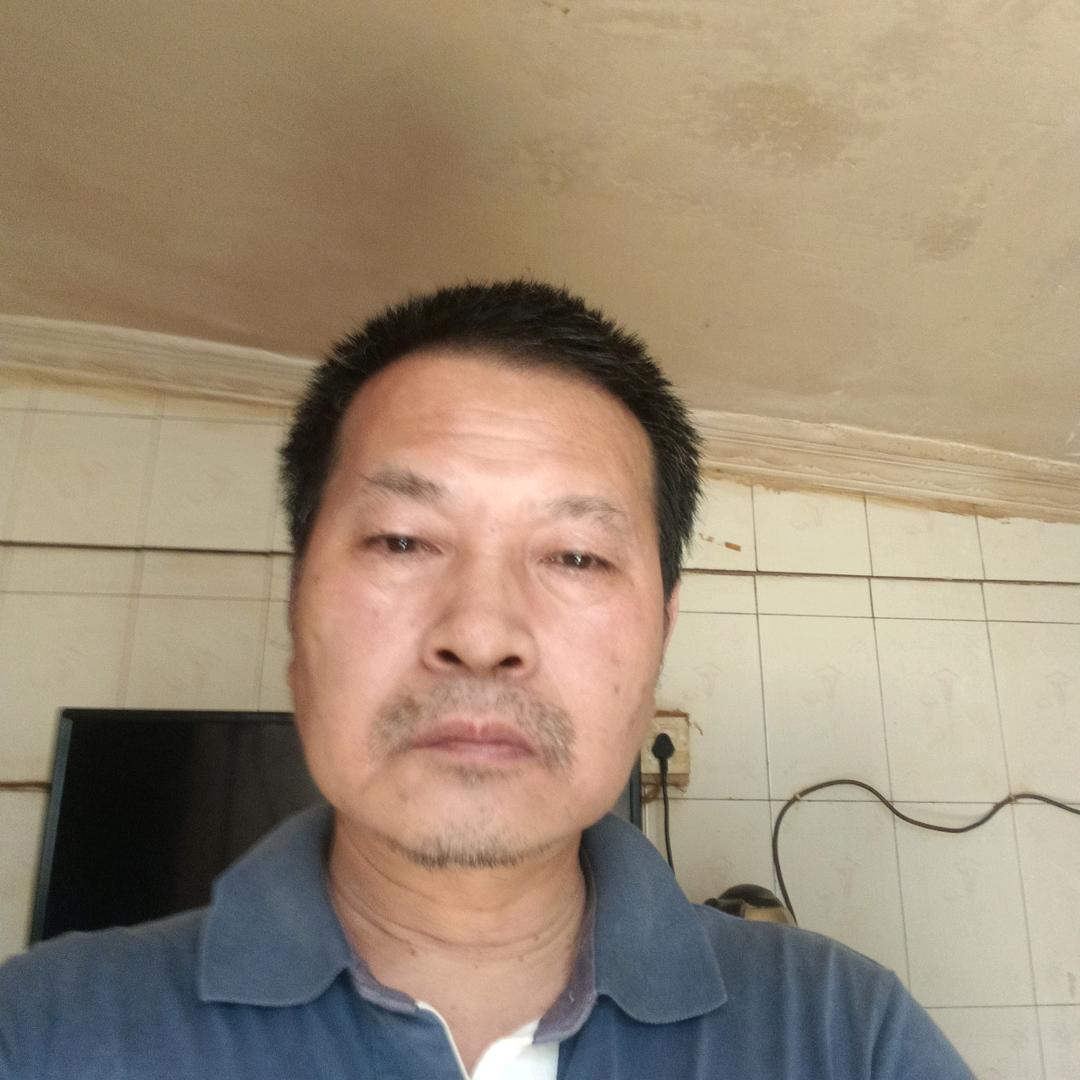 洪蓓林