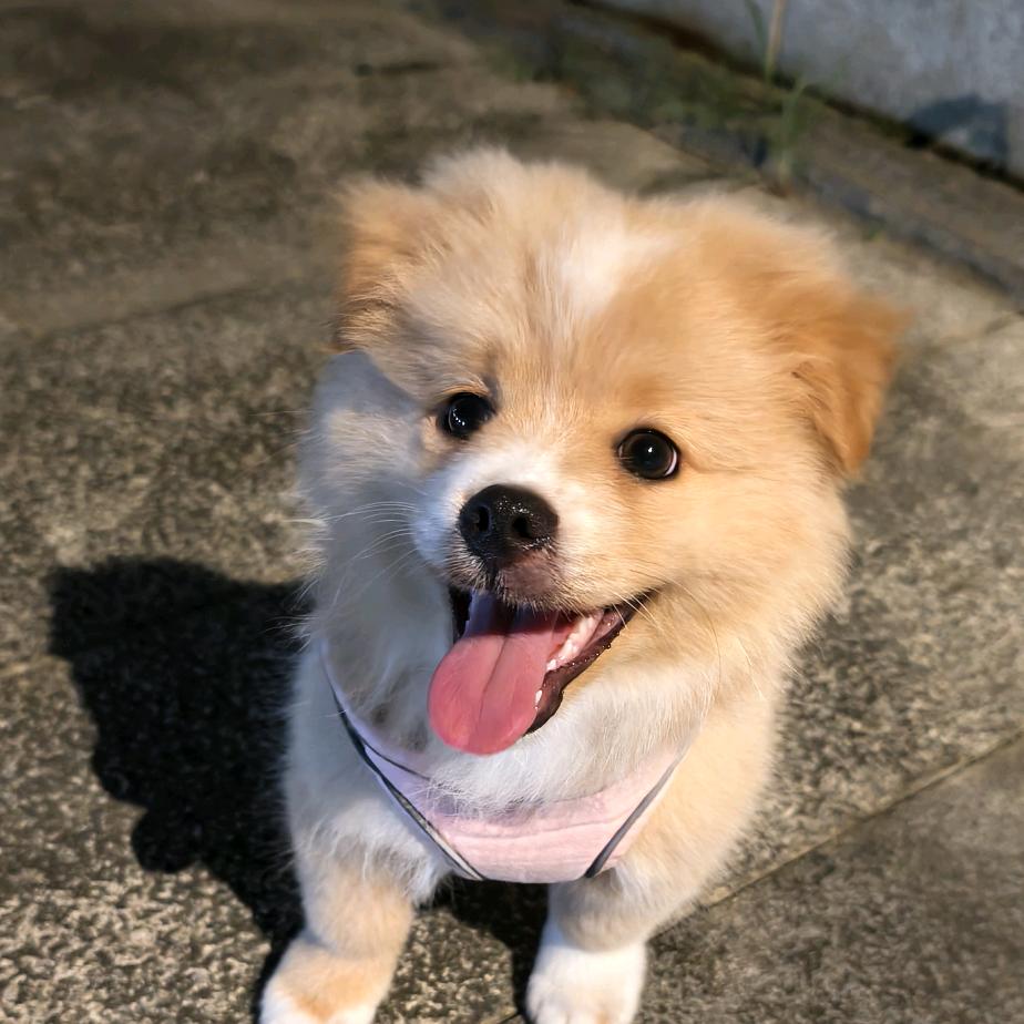 是来财吖