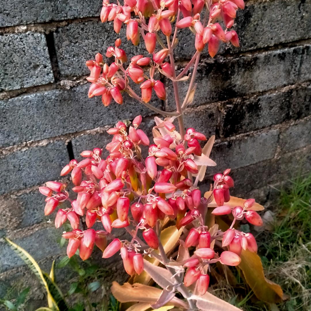 网友爱你爱你(୨୧•͈ᴗ•͈)◞︎ᶫᵒᵛ