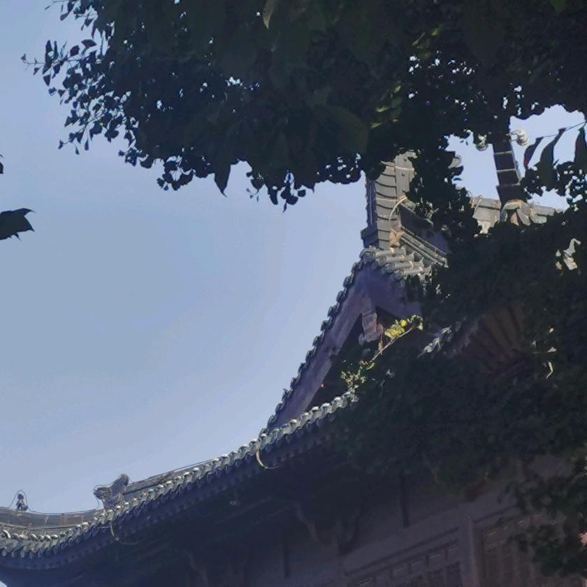 别枝惊鹊