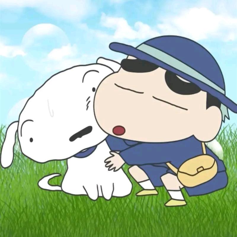 天天科普