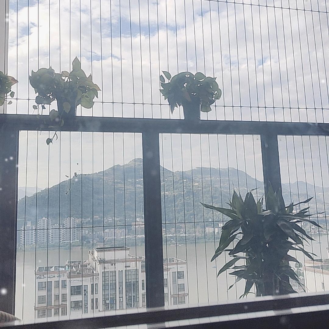 @伯乐