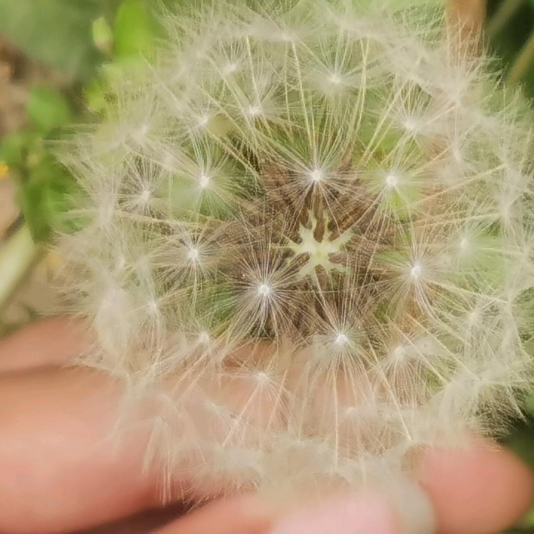 静心@