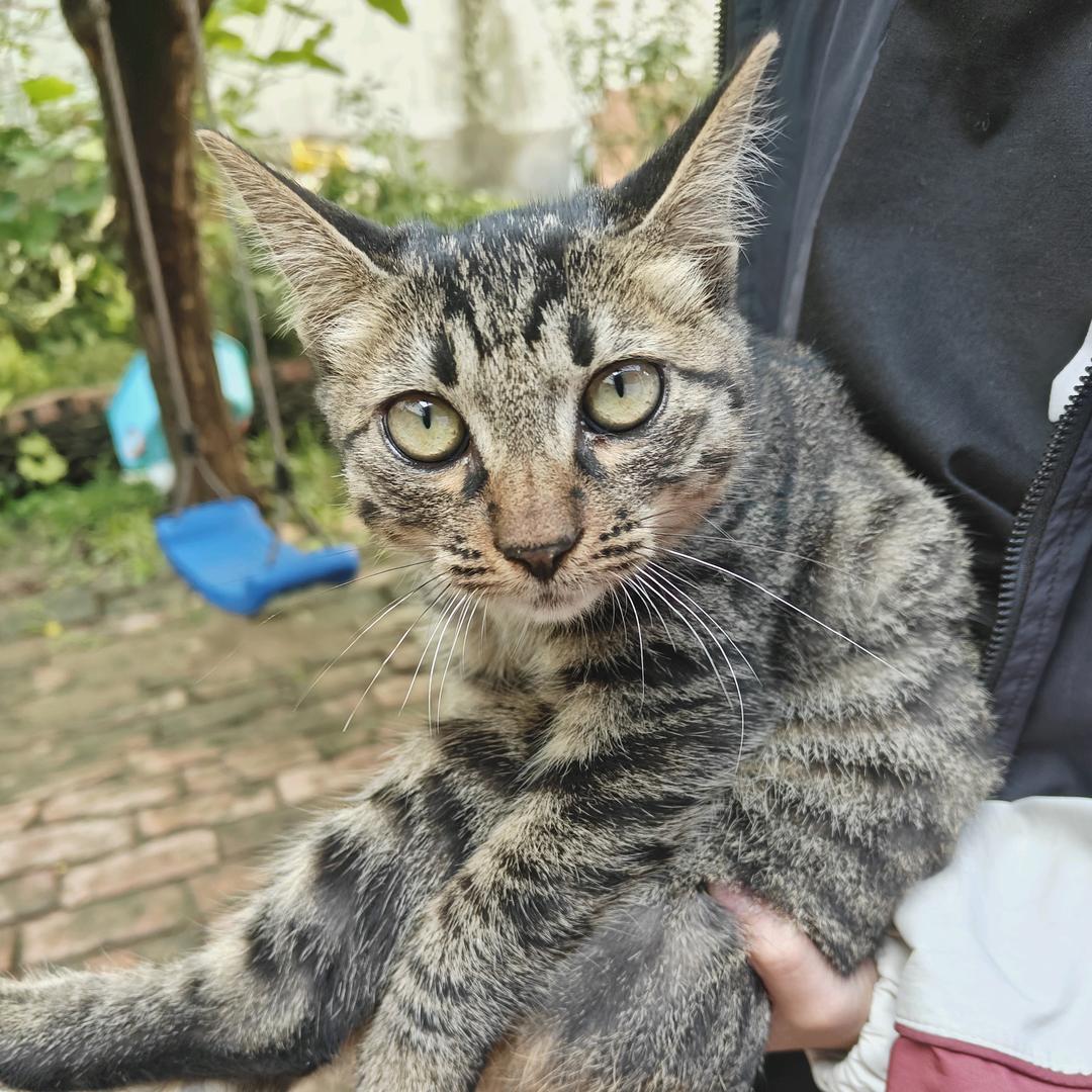 狸想致富