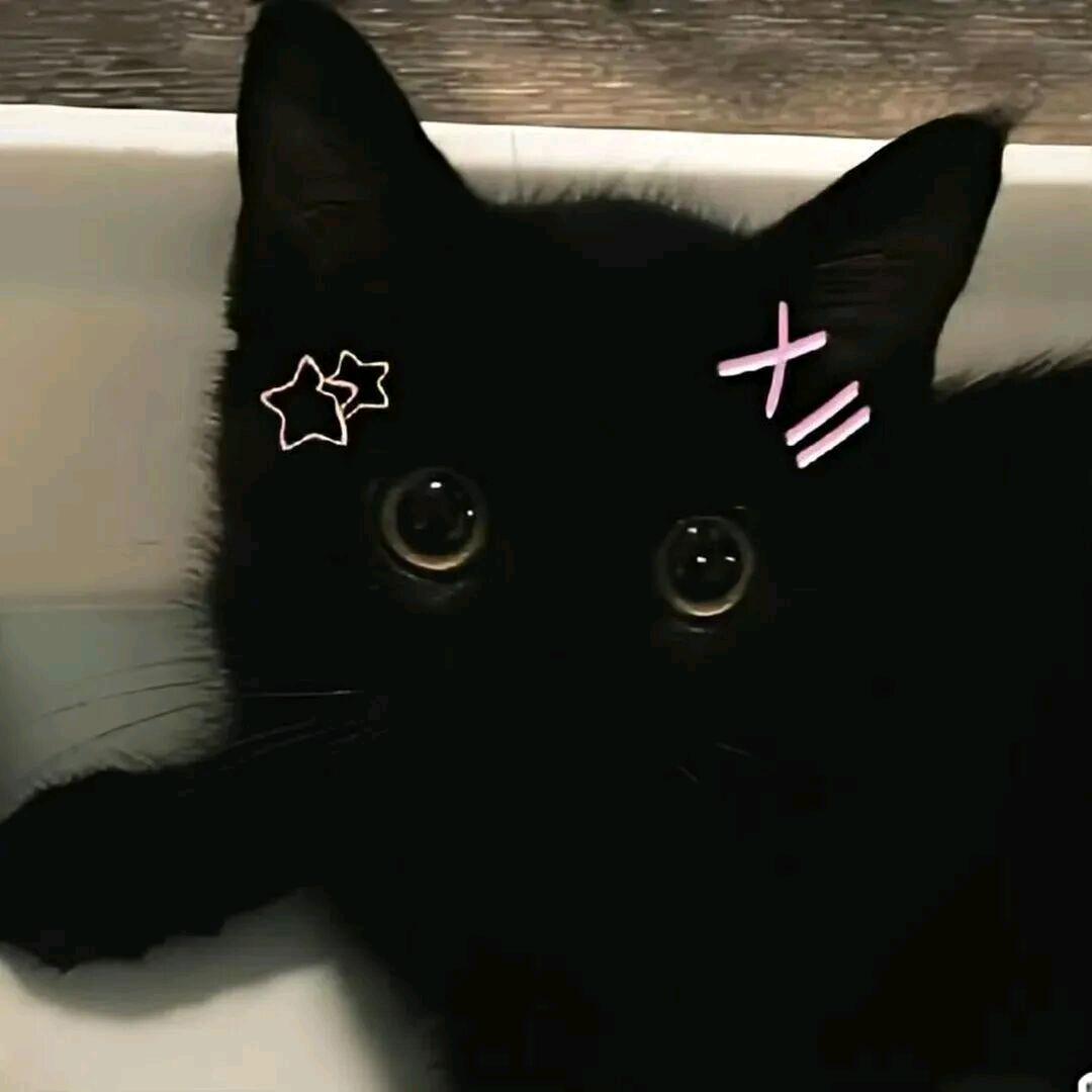 miyu