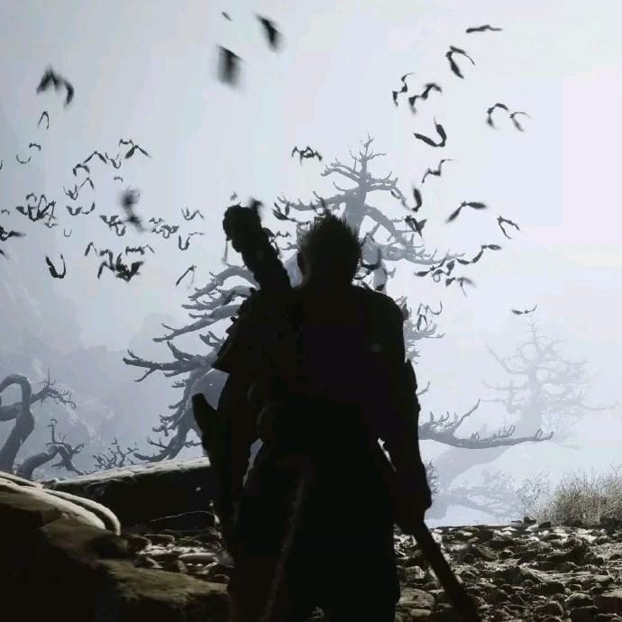 五指山下～身行者