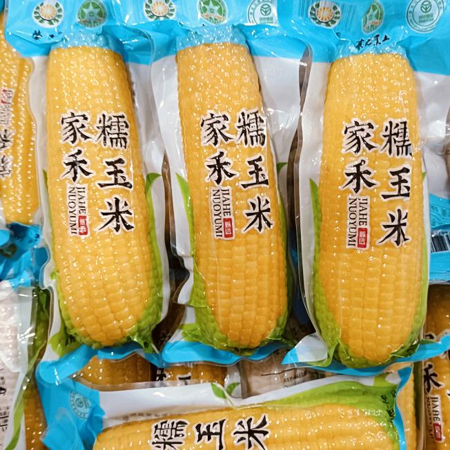 尔滨粘糯玉米