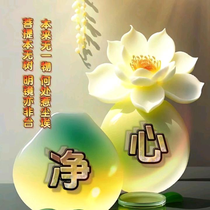 梅姐