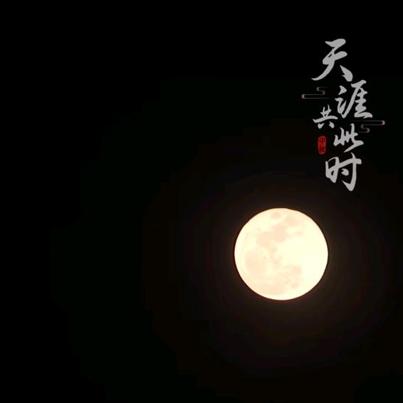憨憨豆