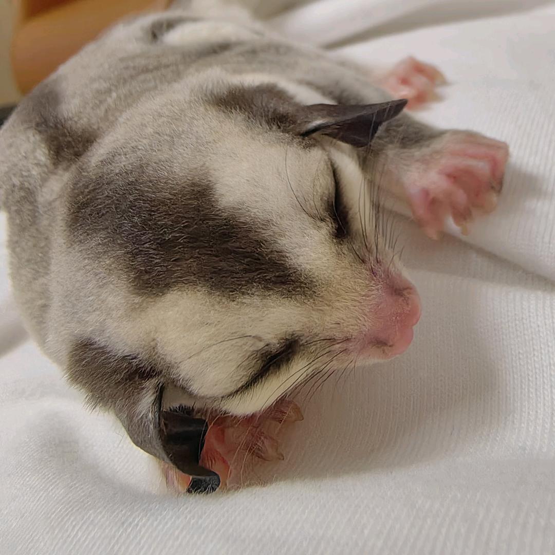 谷雨的成长日常