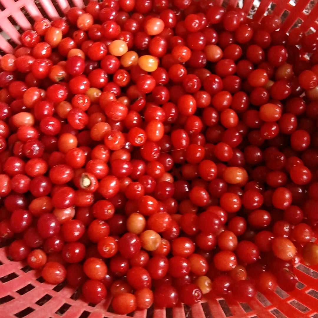 @꧁💞累了꧔ꦿ℘᭄ᩚ꯭ᩚ谁庝💞᭄᪲ᩚ