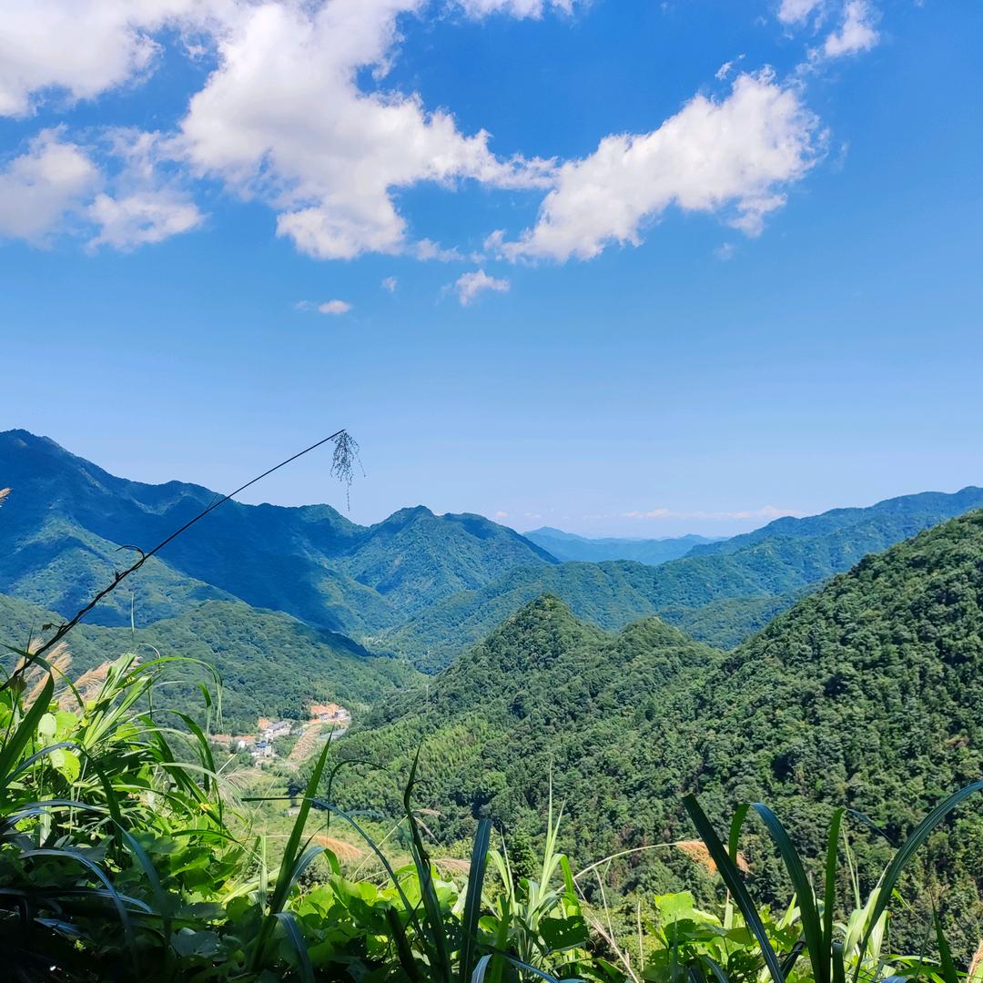 午炽