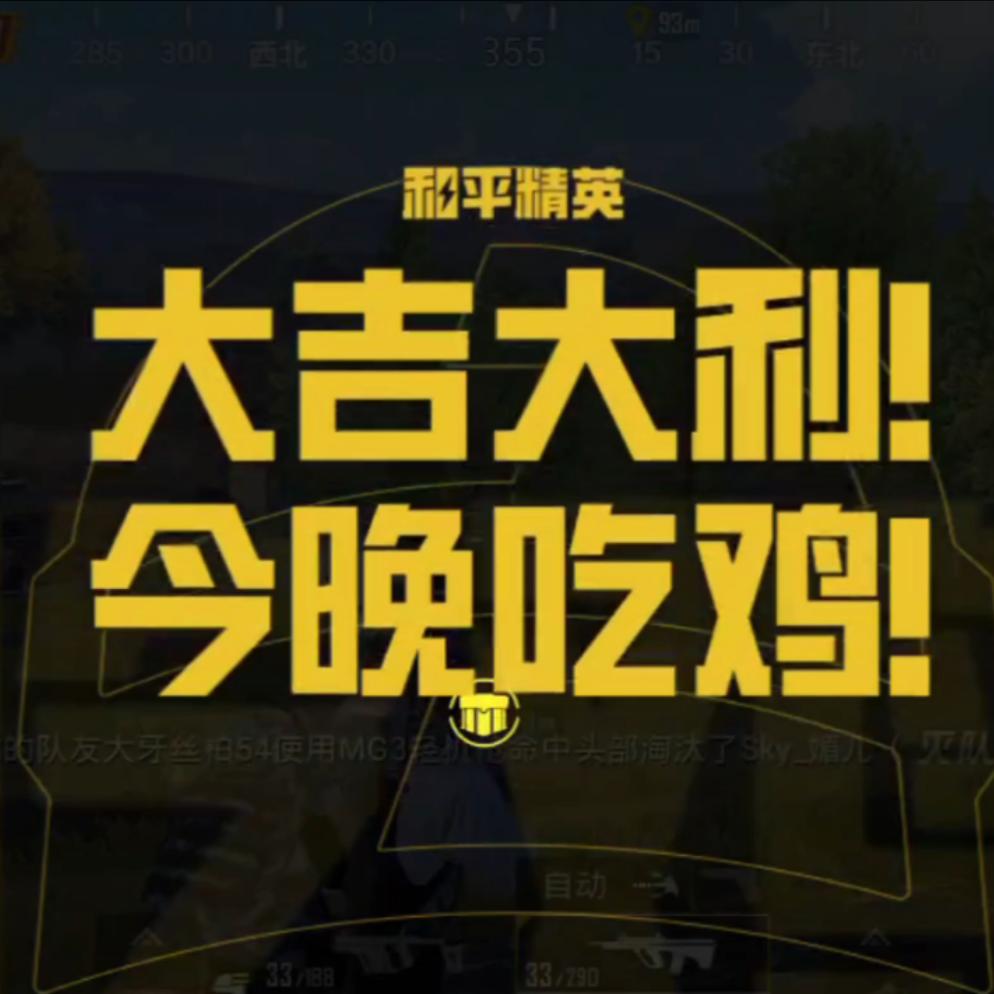 乐迪🎤（和平精英PC）