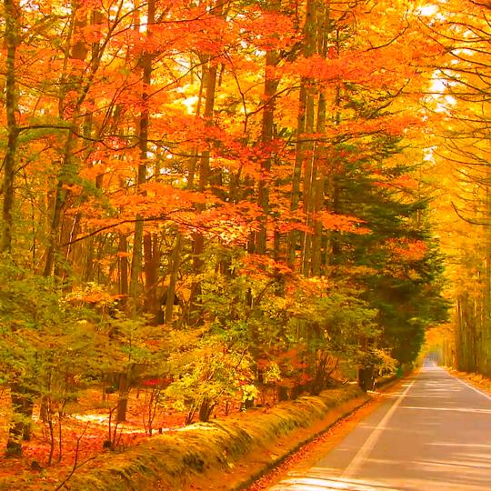 五金生活馆大算